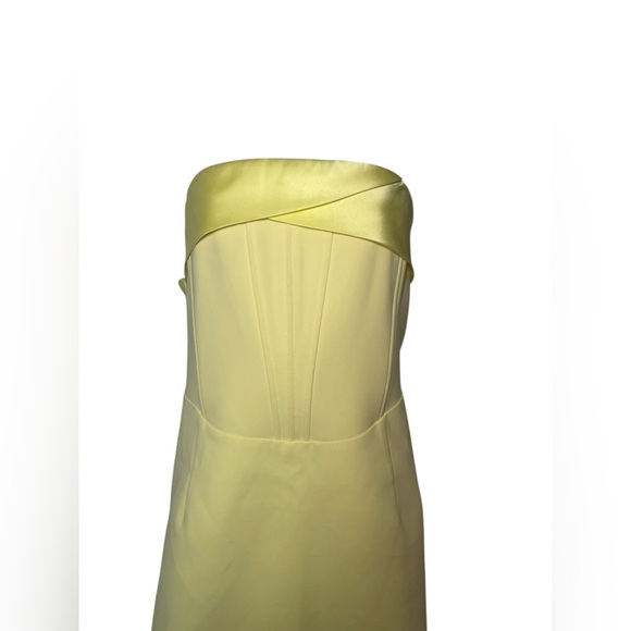 Retrofête Lydia Yellow Strapless Corset Mini Dress Size XXL NWT - Picture 4 of 9